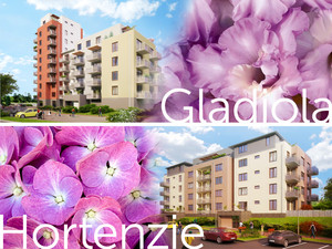 New apartments in Gladiola and Hortenzie are now on sale