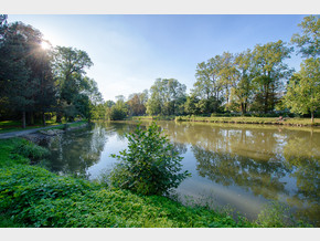 Zámecký park – léto