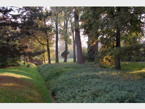 Castle park - Autumn