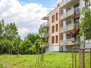 View at Lilie building and park