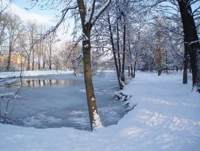 Zámecký park – zima
