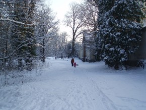 Zámecký park – zima