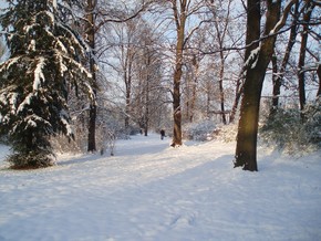 Zámecký park – zima