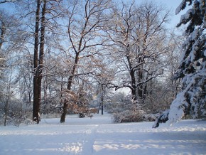 Zámecký park – zima