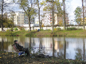 Fisherman at park pond