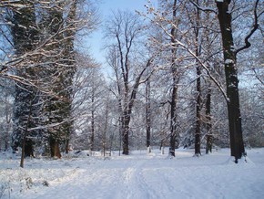 Zámecký park – zima