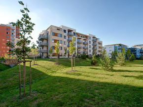 A view of the construction of the Čakovický park 