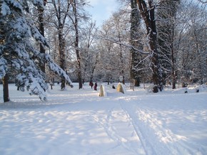 Castle park - Winter