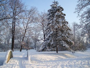 Zámecký park – zima