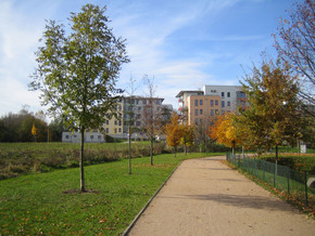 Pathway to Čakovický park