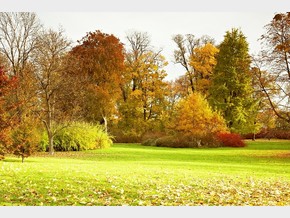 Zámecký park – podzim