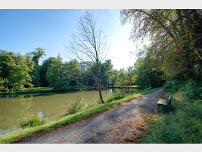 Zámecký park – léto