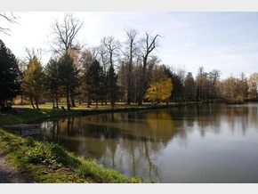 The Castle pond - pond