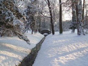 Castle park - Winter