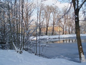 Castle park - Winter
