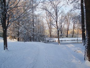 Castle park - Winter