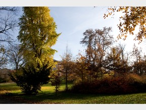 Zámecký park – podzim