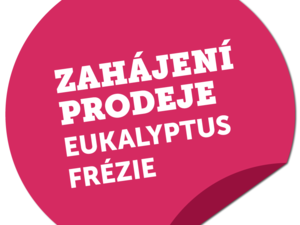 Eukalyptus, Frézie v prodeji