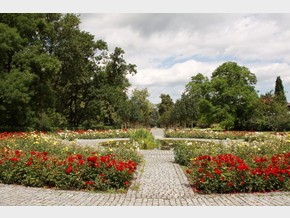 Zámecký park – jaro/léto