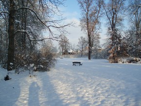 Zámecký park – zima